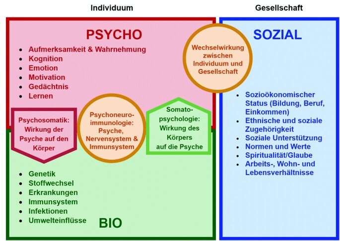 Bio Psycho Soziales Modell